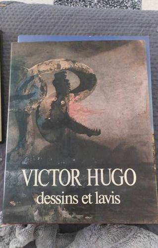 victor+hugo+dessins+et+lavis.jpg